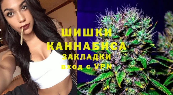 крисы Касимов